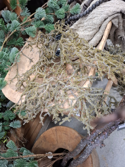 Kunst tak mos maat l