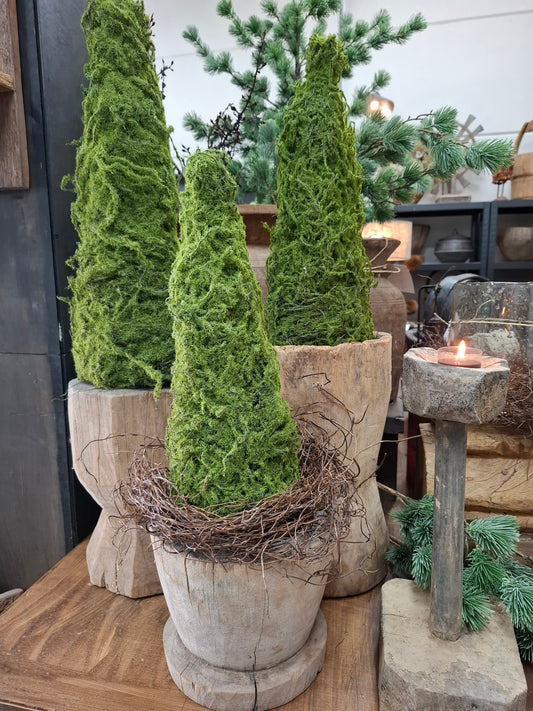 Kunst mos boompjes maat l