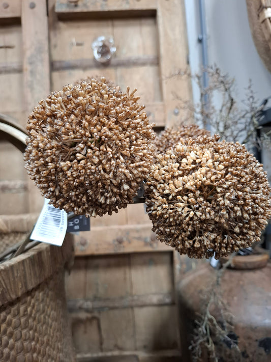 Kunst tak alium Bol bruin