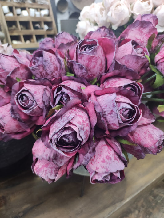 Kunst rozen Fuchsia