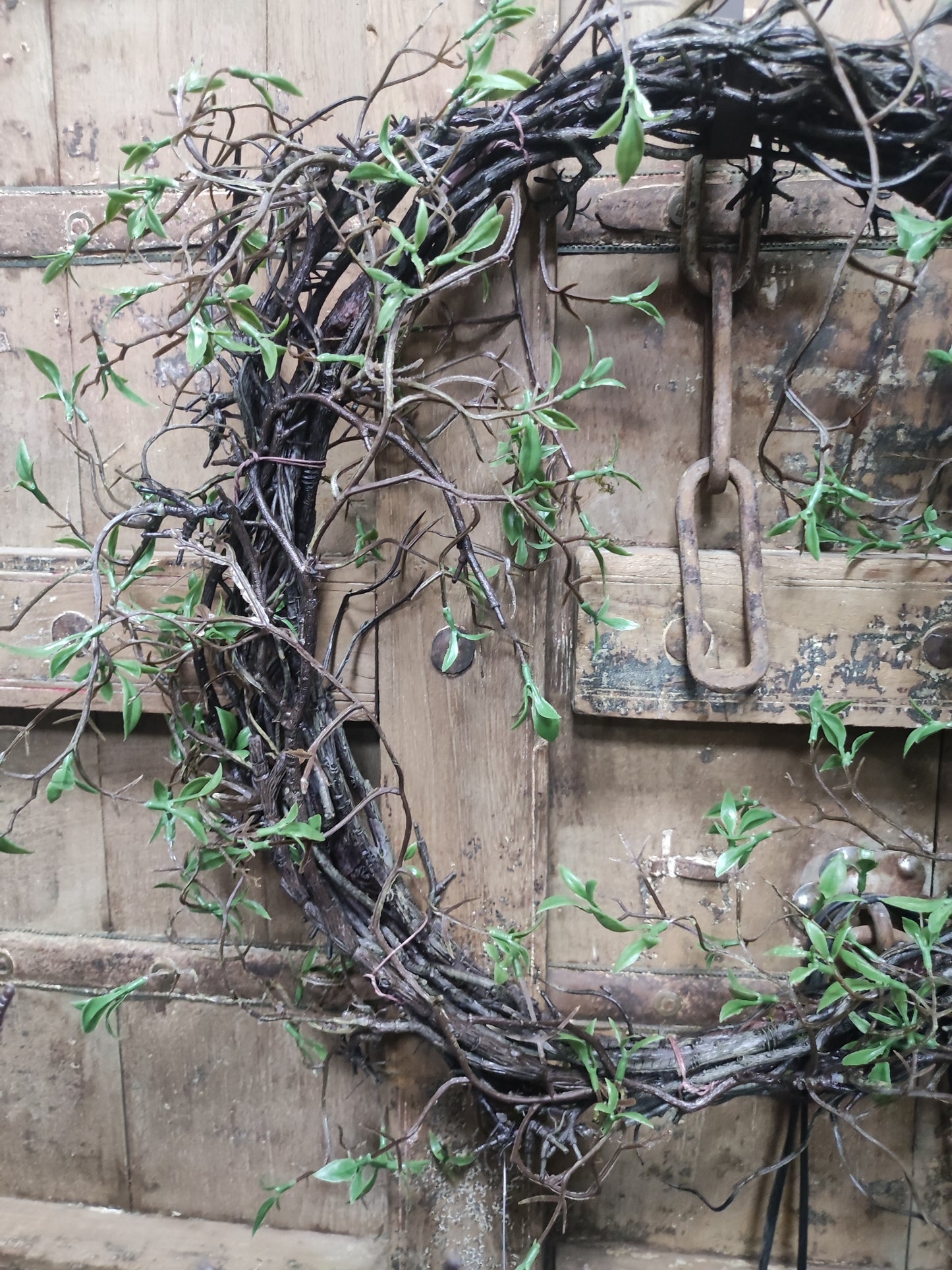 Kunst krans Salix
