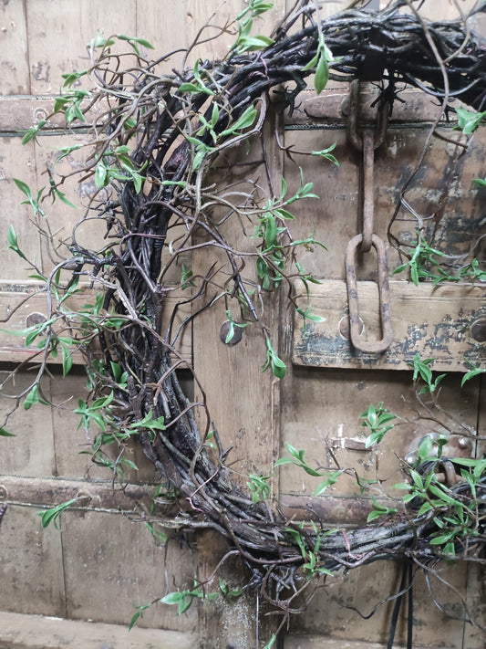 Kunst krans Salix